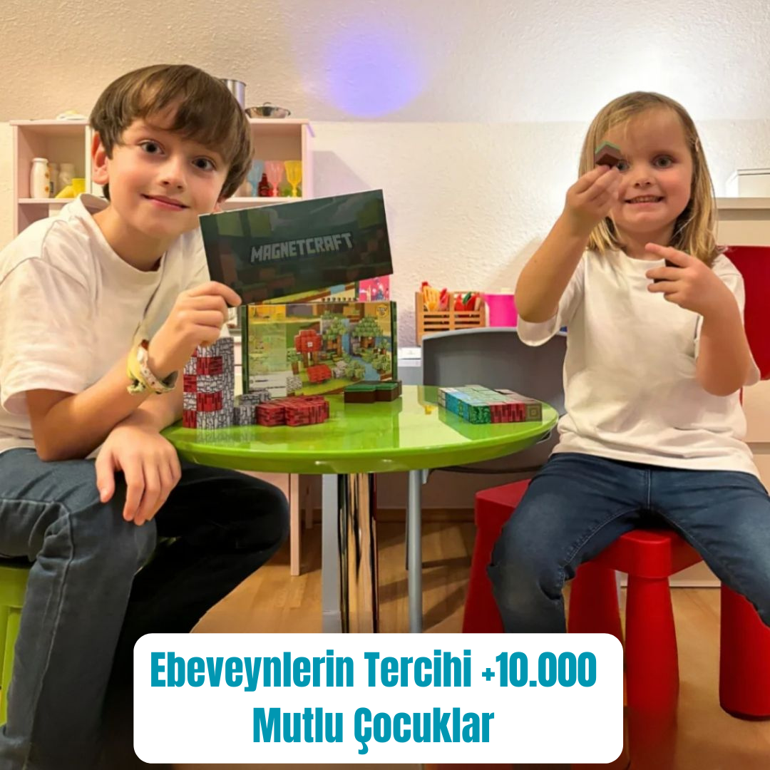 Zeka Geliştiren Magnetik Minecraft Blokları