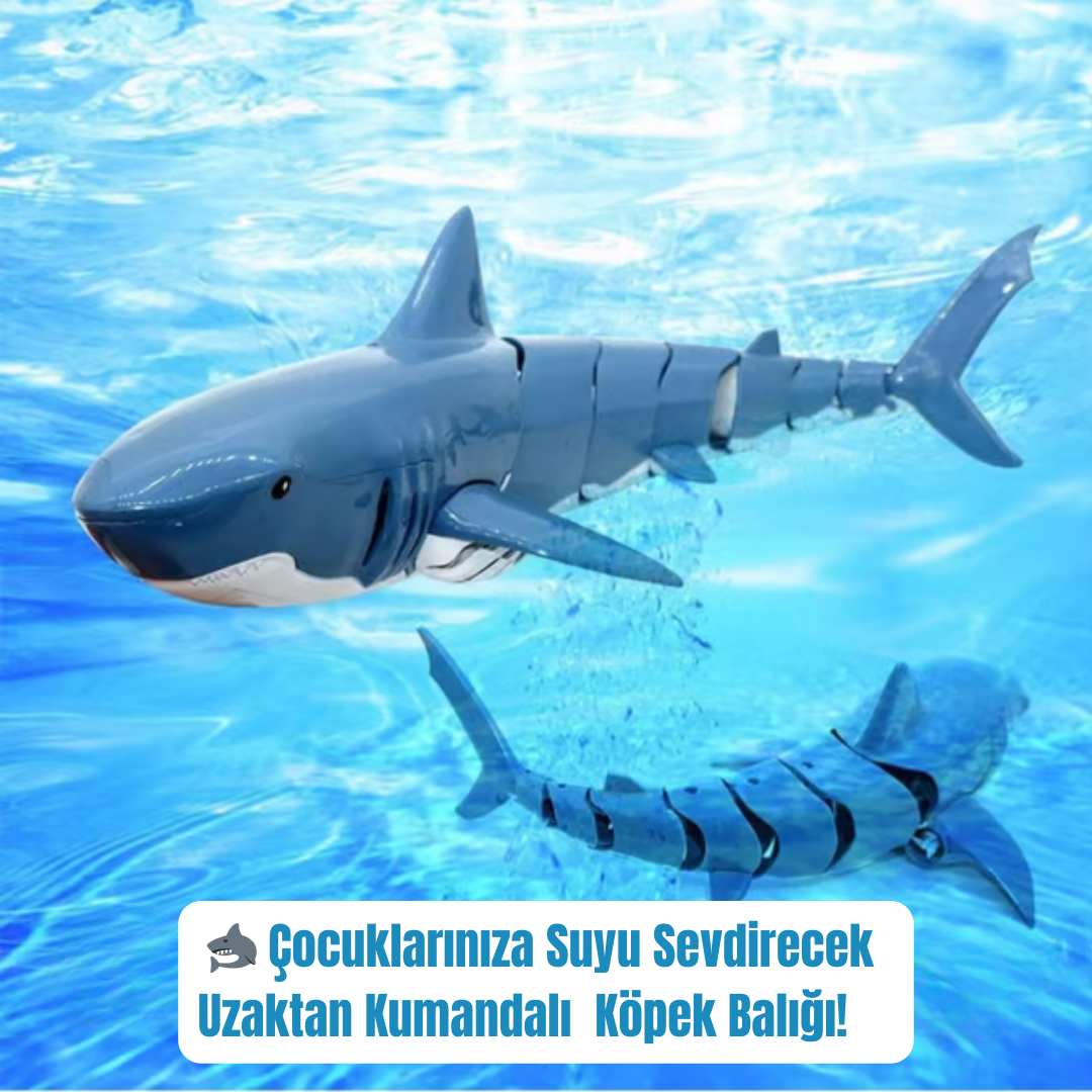 UZAKTAN KUMANDALI YÜZEN KÖPEKBALIĞI