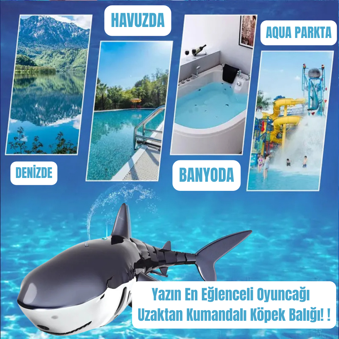 UZAKTAN KUMANDALI YÜZEN KÖPEKBALIĞI